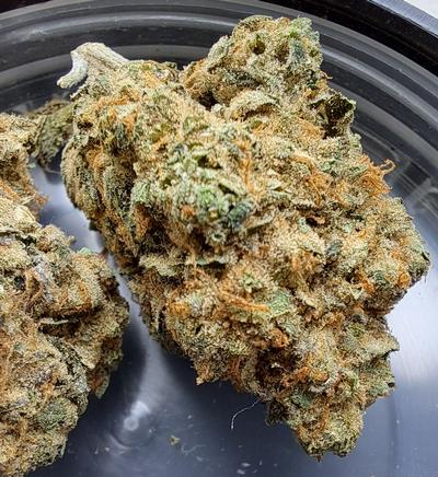 UK GROWN FLOWER