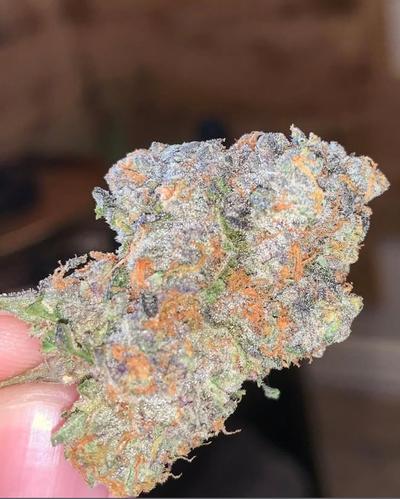 PURPLE MIlK