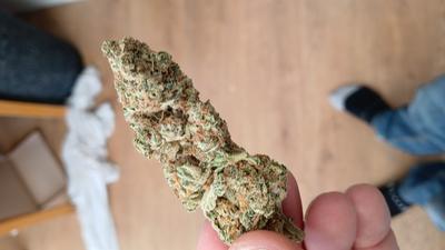 UK BUD'S