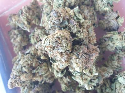 UK Flower 🇬🇧🇬🇧
