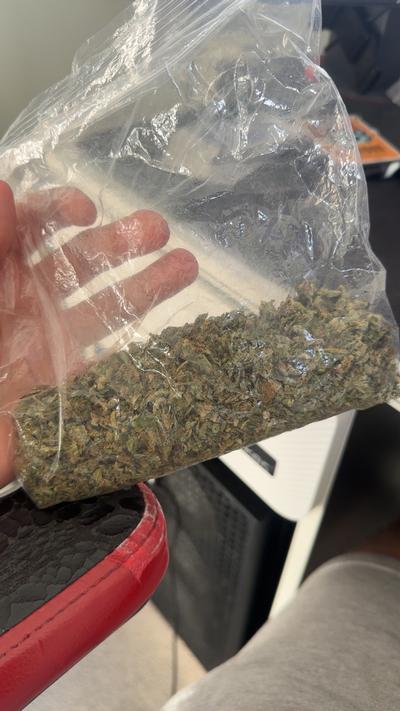 UK BUDS