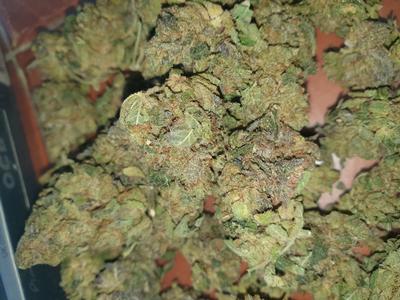 UK Flower 🇬🇧🇬🇧