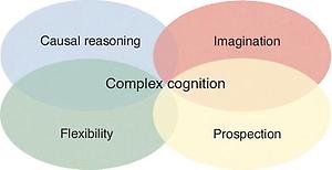 what's in your stack?