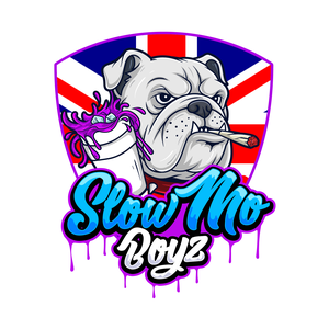 SlowMoBoyz
