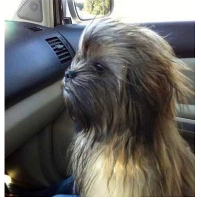 BabyChewy